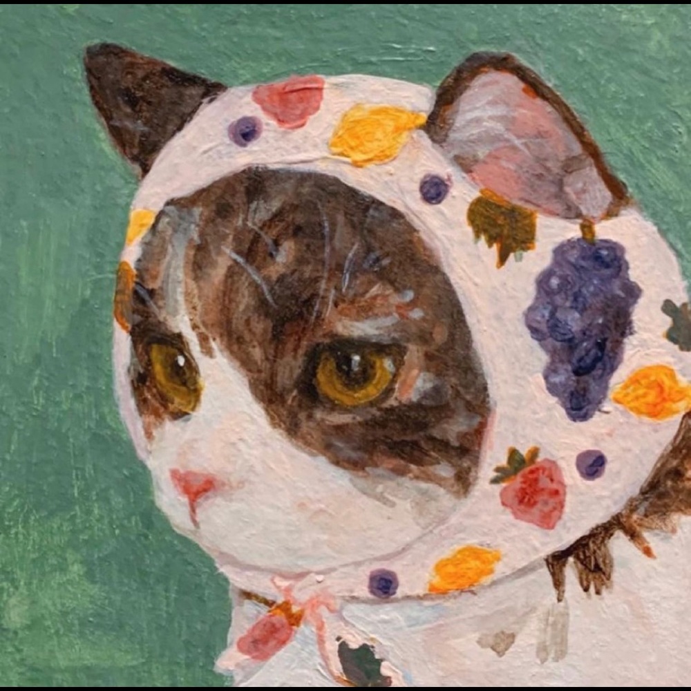 Meet your Posher, Madi